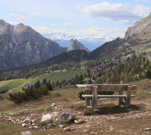 Bank mit Aussicht auf Wald und Berge