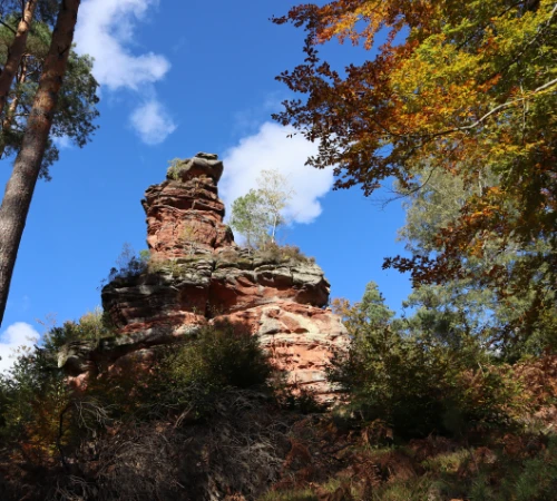 Felsen im Pfälzer Wald an sonnigem Tag