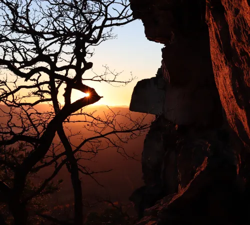 Felsen im Pfälzerwald im Sonnenuntergang